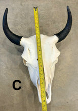 Load image into Gallery viewer, Finished Bison Skull