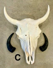 Load image into Gallery viewer, Finished Bison Skull