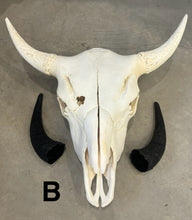 Load image into Gallery viewer, Finished Bison Skull