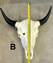 Load image into Gallery viewer, Finished Bison Skull