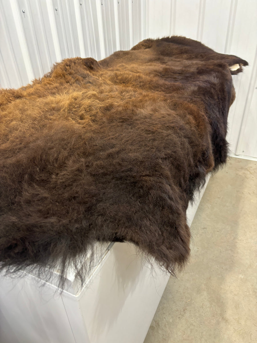 Finished bison hide – Bison Ridge Farms